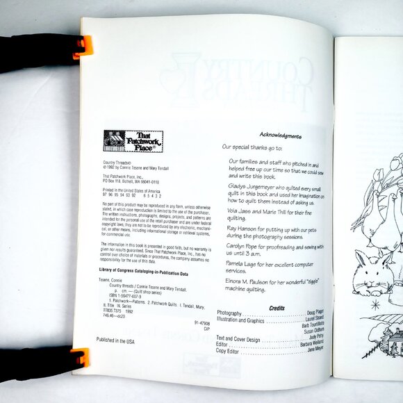 Vtg Country Threads Garner Iowa USA Quilt Shop Series Mary Tendall Connie Tesene - Picture 3 of 12